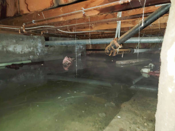 Fire Damage Restoration in Strafford, MO