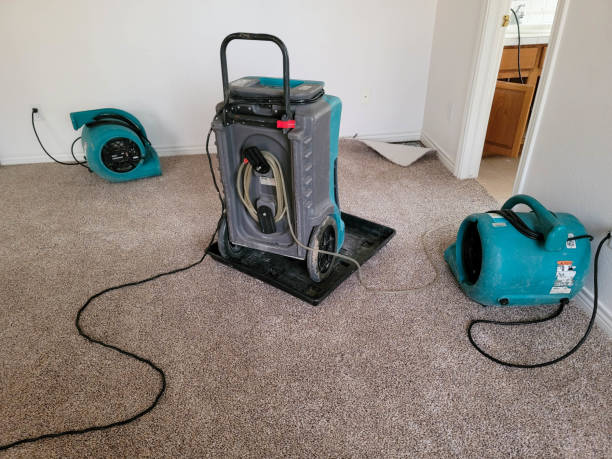 Best Water damage restoration near me  in Strafford, MO