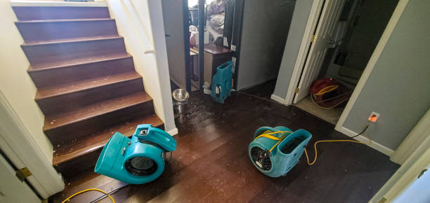Best Flood damage cleanup  in Strafford, MO