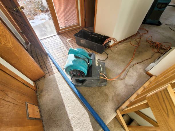Best Emergency water extraction  in Strafford, MO