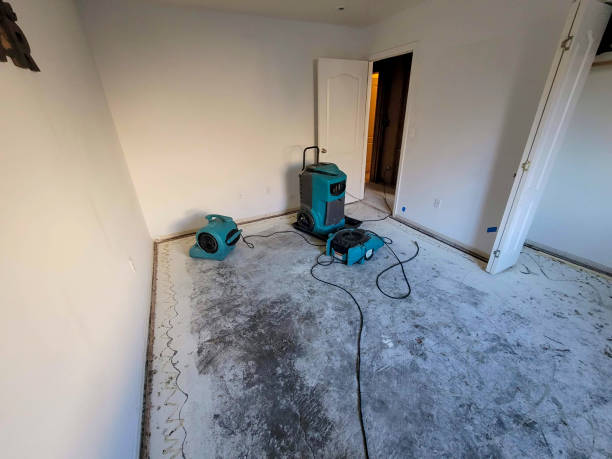  Strafford, MO Water damage restoration Pros