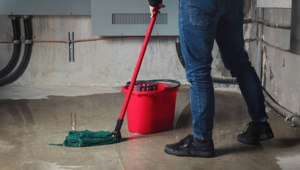 Best Mold removal after water damage  in Strafford, MO