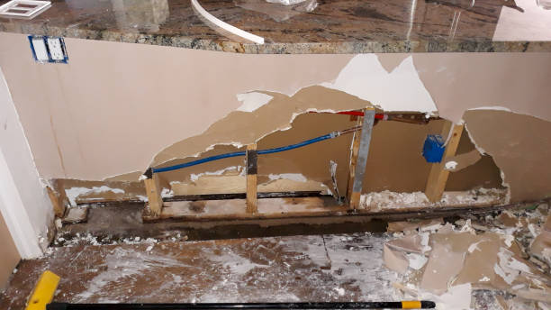 Best Fire Damage Restoration  in Strafford, MO