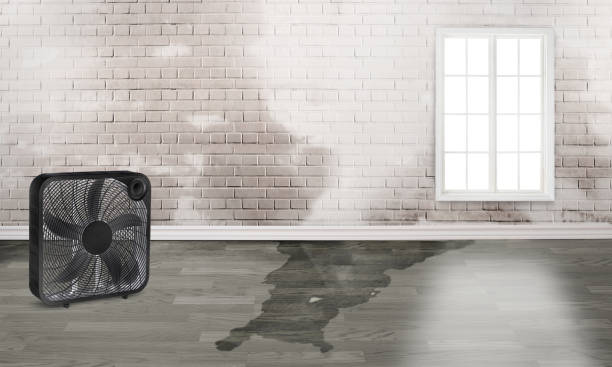 Best Fire Damage Restoration  in Strafford, MO