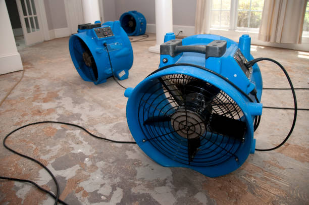 Best Ceiling water damage repair  in Strafford, MO