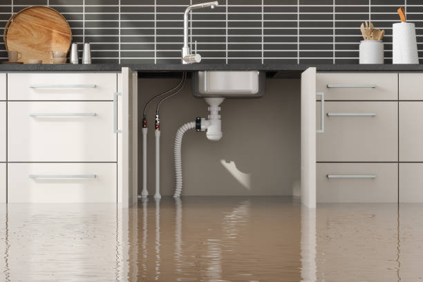 Best Residential water damage restoration  in Strafford, MO