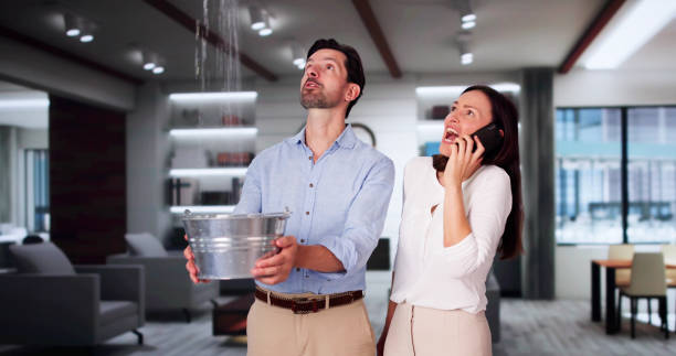 Best Professional water damage repair  in Strafford, MO