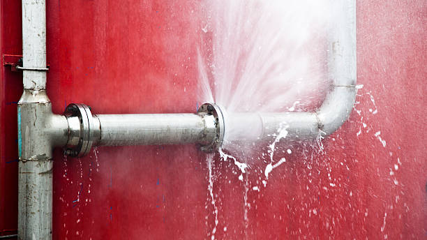 Best Flood damage cleanup  in Strafford, MO