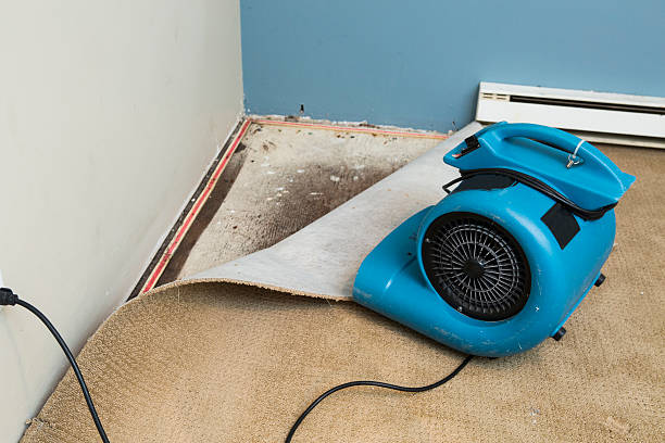 Carpet water damage restoration in Strafford, MO